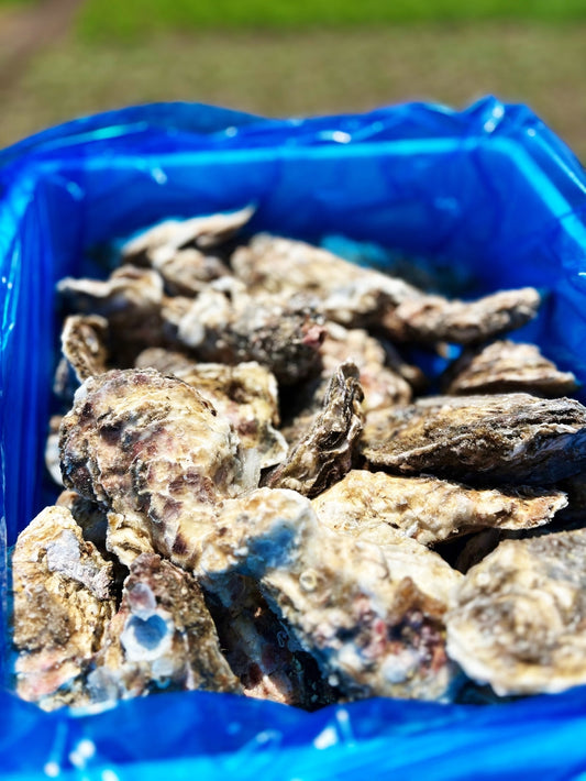 【業務用級】北海道産 冷凍殻付き牡蠣 5kg|急速冷凍