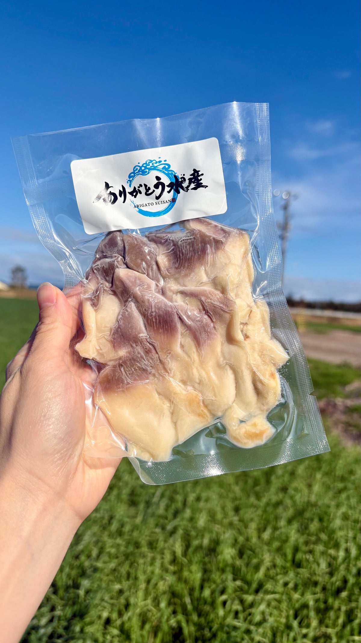 Hokkaido Surf Clam Sashimi | 1 Shell