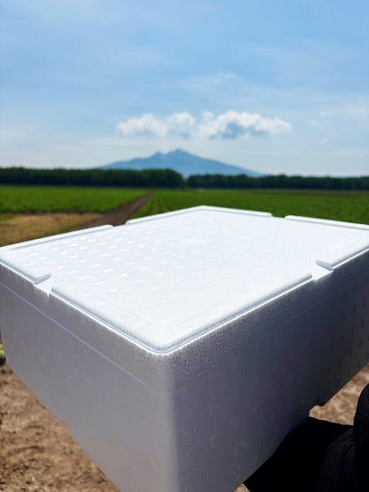 【業務用級】北海道産 冷凍殻付き牡蠣 5kg｜急速冷凍