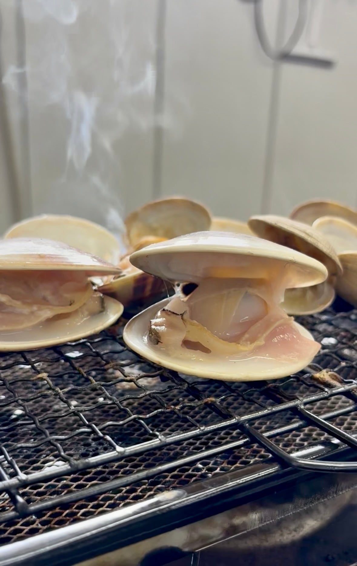 【旨味たっぷり】北海道ハマグリ｜500g