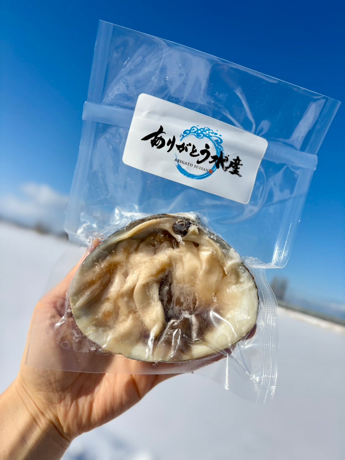 【刺身用】北海道生ホッキ刺身｜貝殻盛り1個