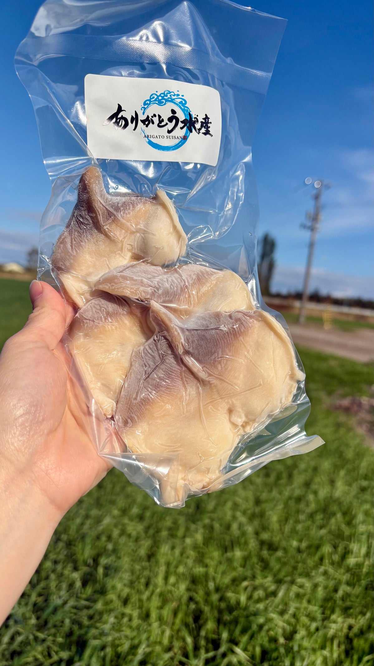 Hokkaido Surf Clam Sashimi | 1 Shell