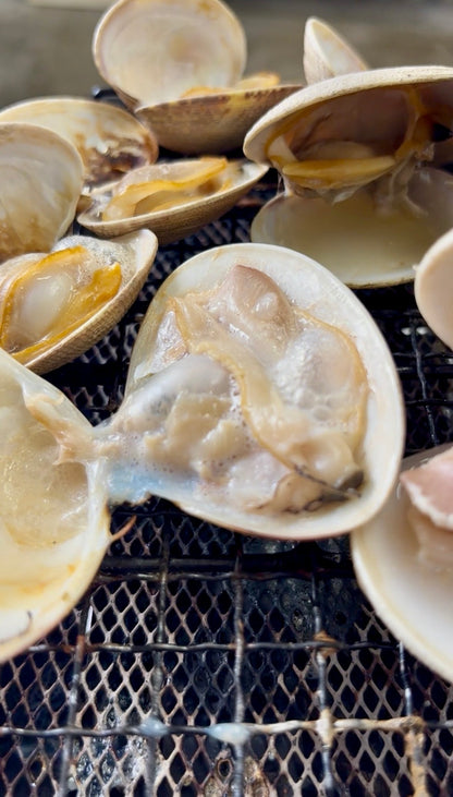 【旨味たっぷり】北海道ハマグリ｜500g