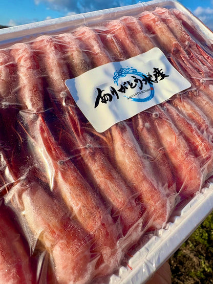 【濃厚な甘み】北海シマエビ｜Sサイズ 500g