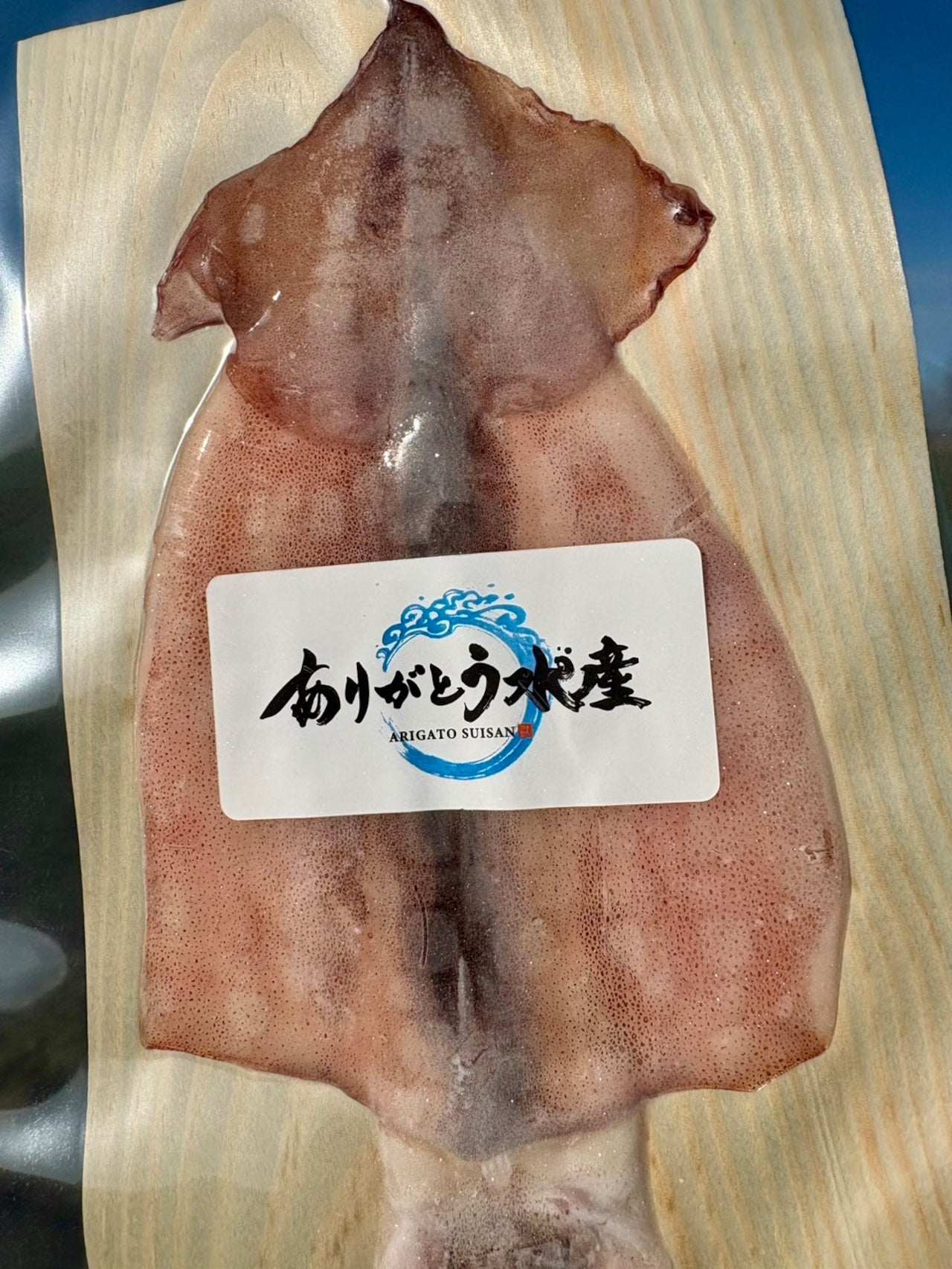 【旨味凝縮】北海道イカ一夜干し｜中サイズ