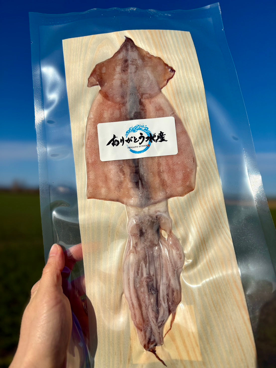【旨味凝縮】北海道イカ一夜干し｜小サイズ