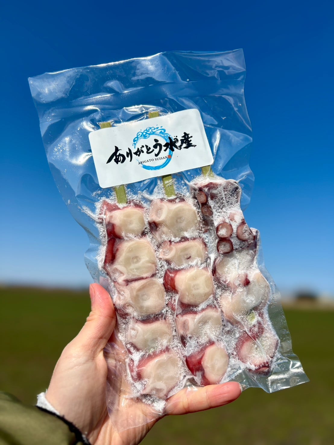 【焼くだけ簡単】北海道タコ串セット｜3本入り