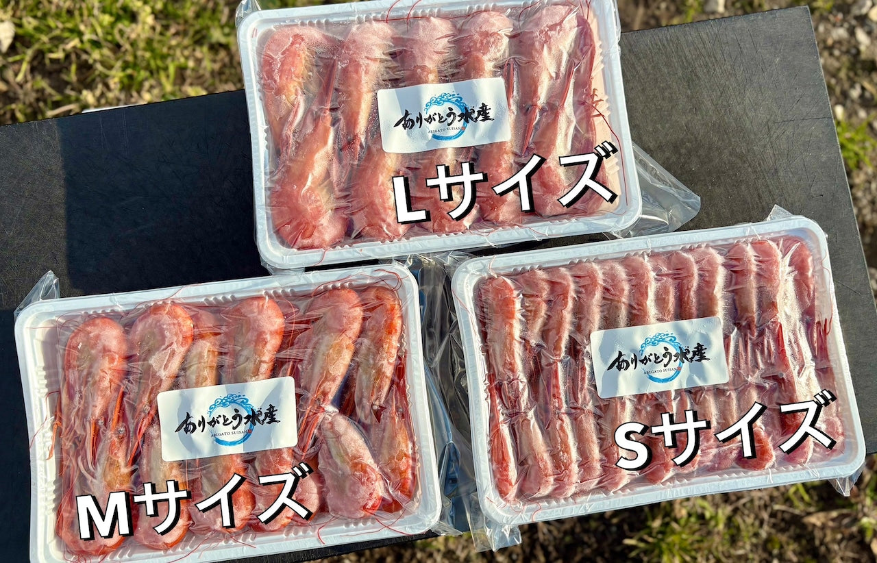 【濃厚な甘み】北海シマエビ｜Mサイズ 500g