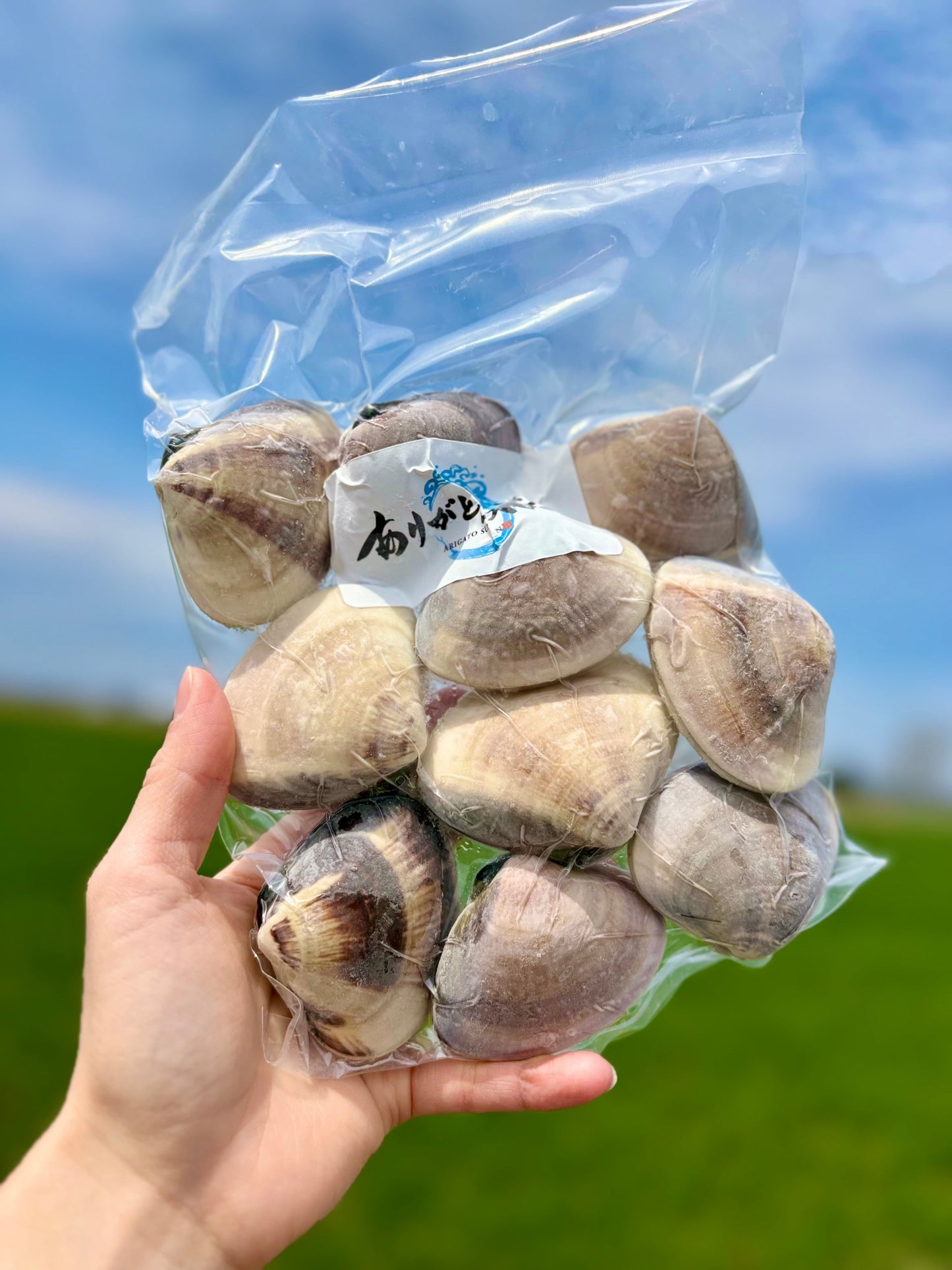 【旨味たっぷり】北海道ハマグリ｜500g