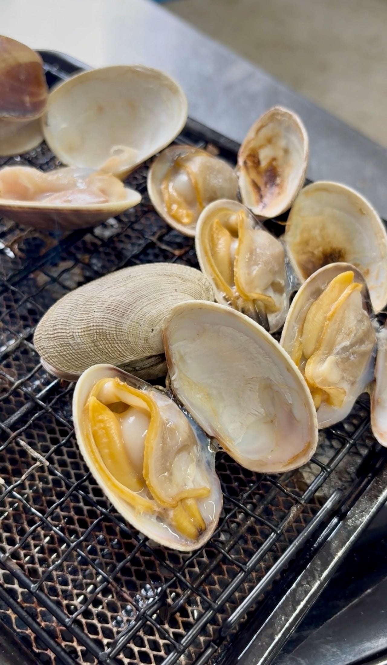 【特大サイズ】北海道あさり｜砂抜き済み 500g
