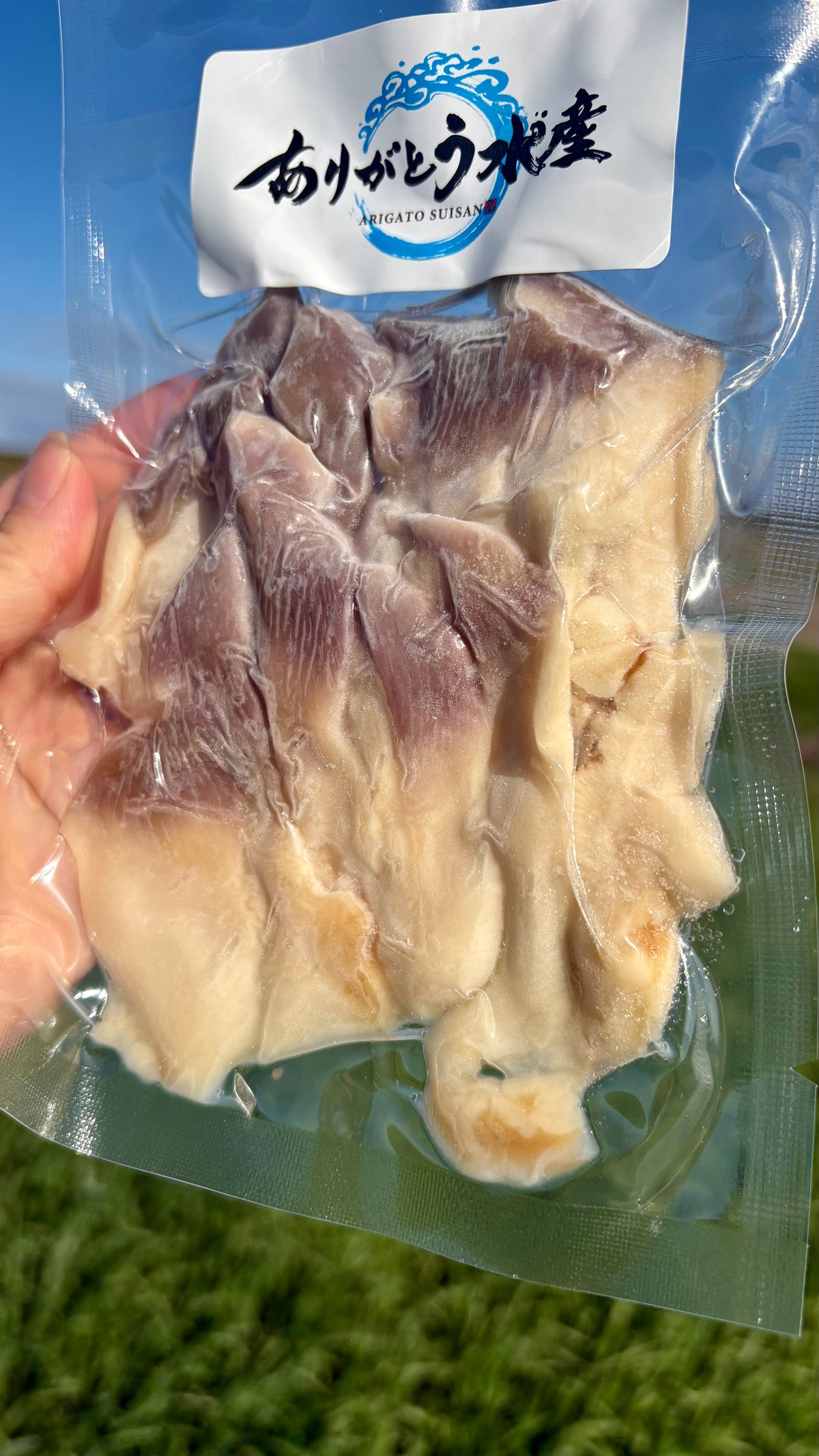 Hokkaido Surf Clam Sashimi | 1 Shell