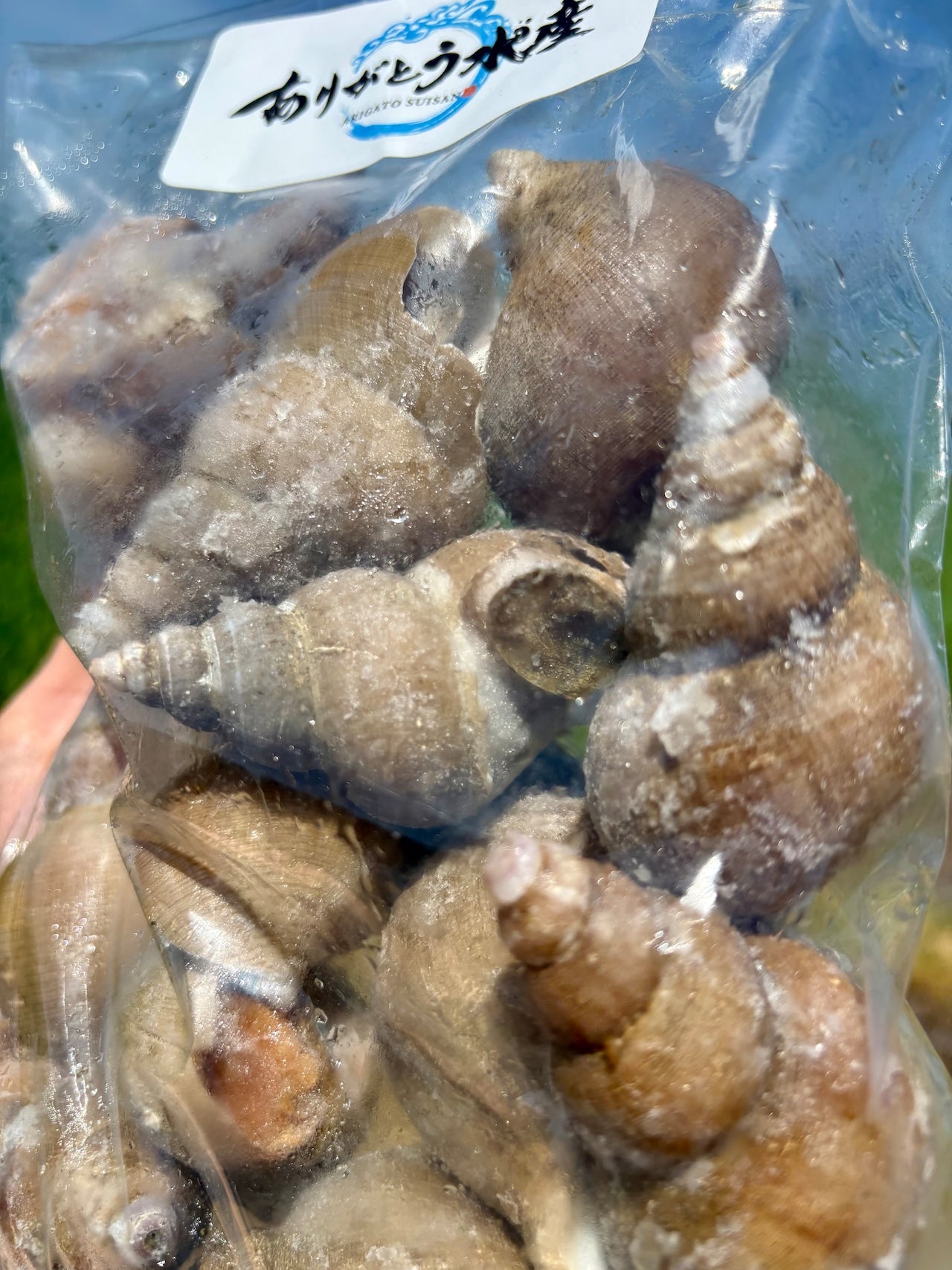 【BBQ・晩酌に】北海道産 煮ツブ 醤油仕立て｜580g