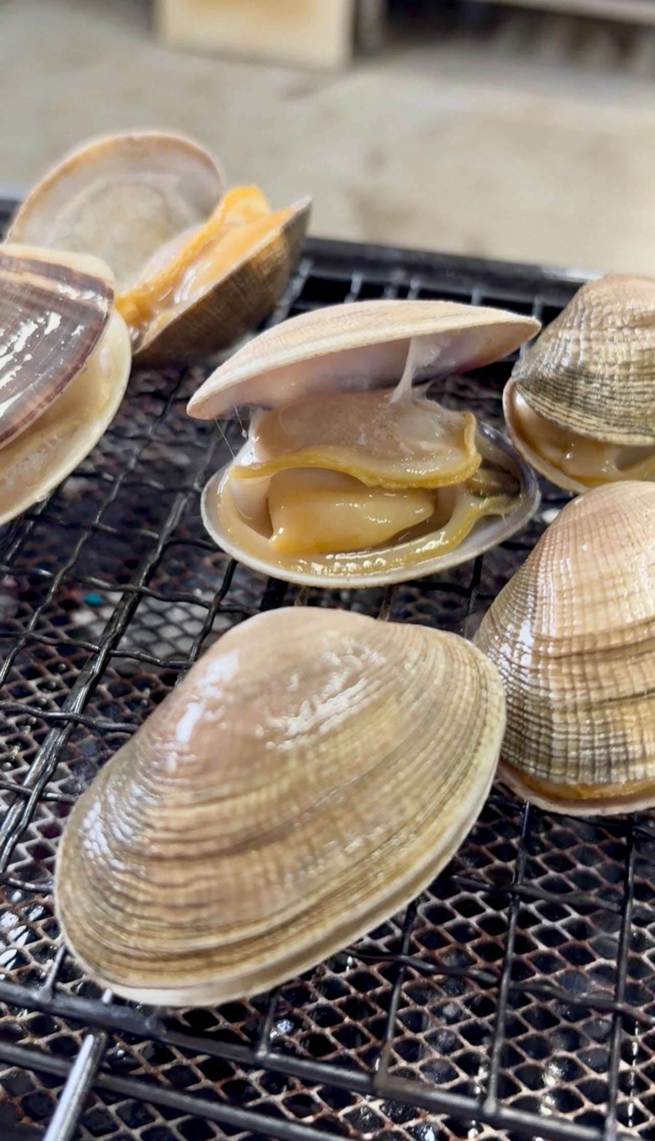 【特大サイズ】北海道あさり｜砂抜き済み 500g