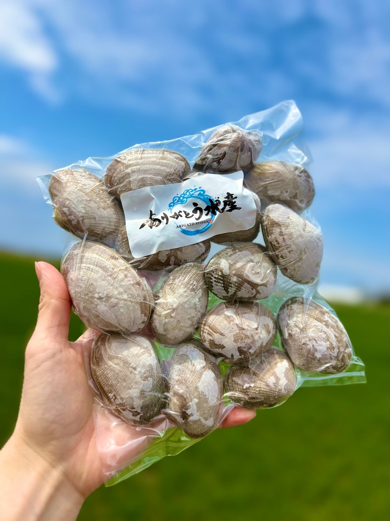 【特大サイズ】北海道あさり｜砂抜き済み 500g
