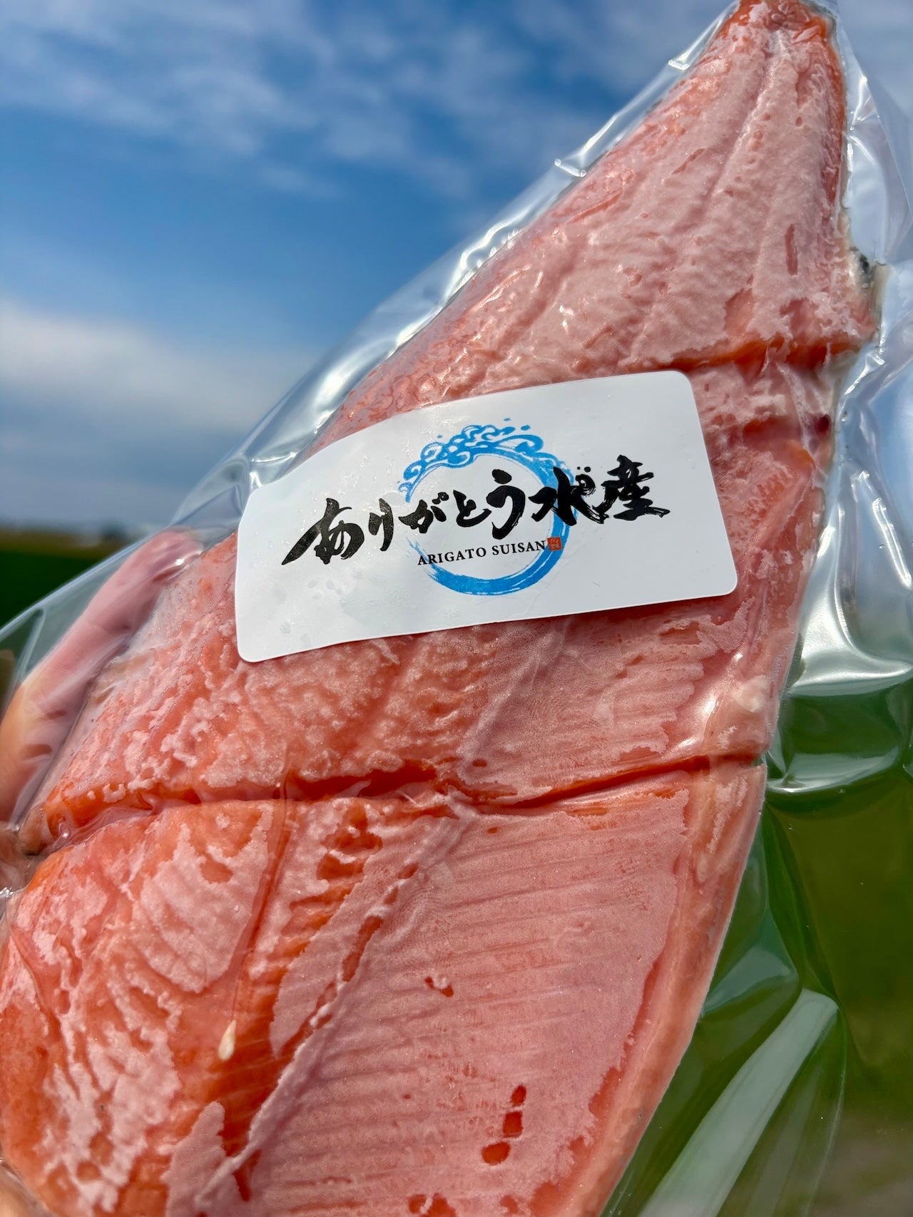 【焼き魚用】北海道サクラマスフィレ｜春限定