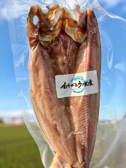 【脂のり抜群】黄金ホッケ一夜干し｜400g
