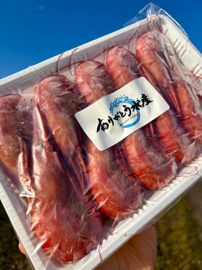 【濃厚な甘み】北海シマエビ｜Lサイズ 500g