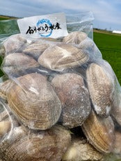 【特大サイズ】北海道あさり｜砂抜き済み 1kg