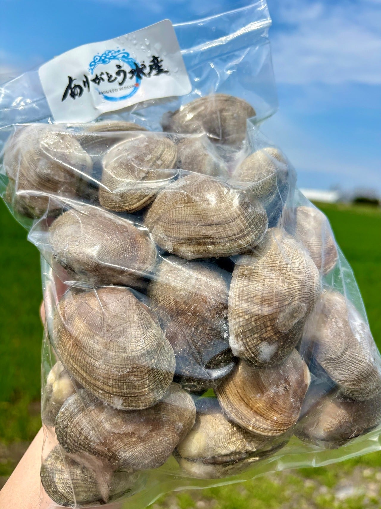 【特大サイズ】北海道あさり｜砂抜き済み 1kg