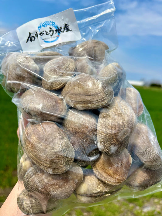 【特大サイズ】北海道あさり｜砂抜き済み 1kg