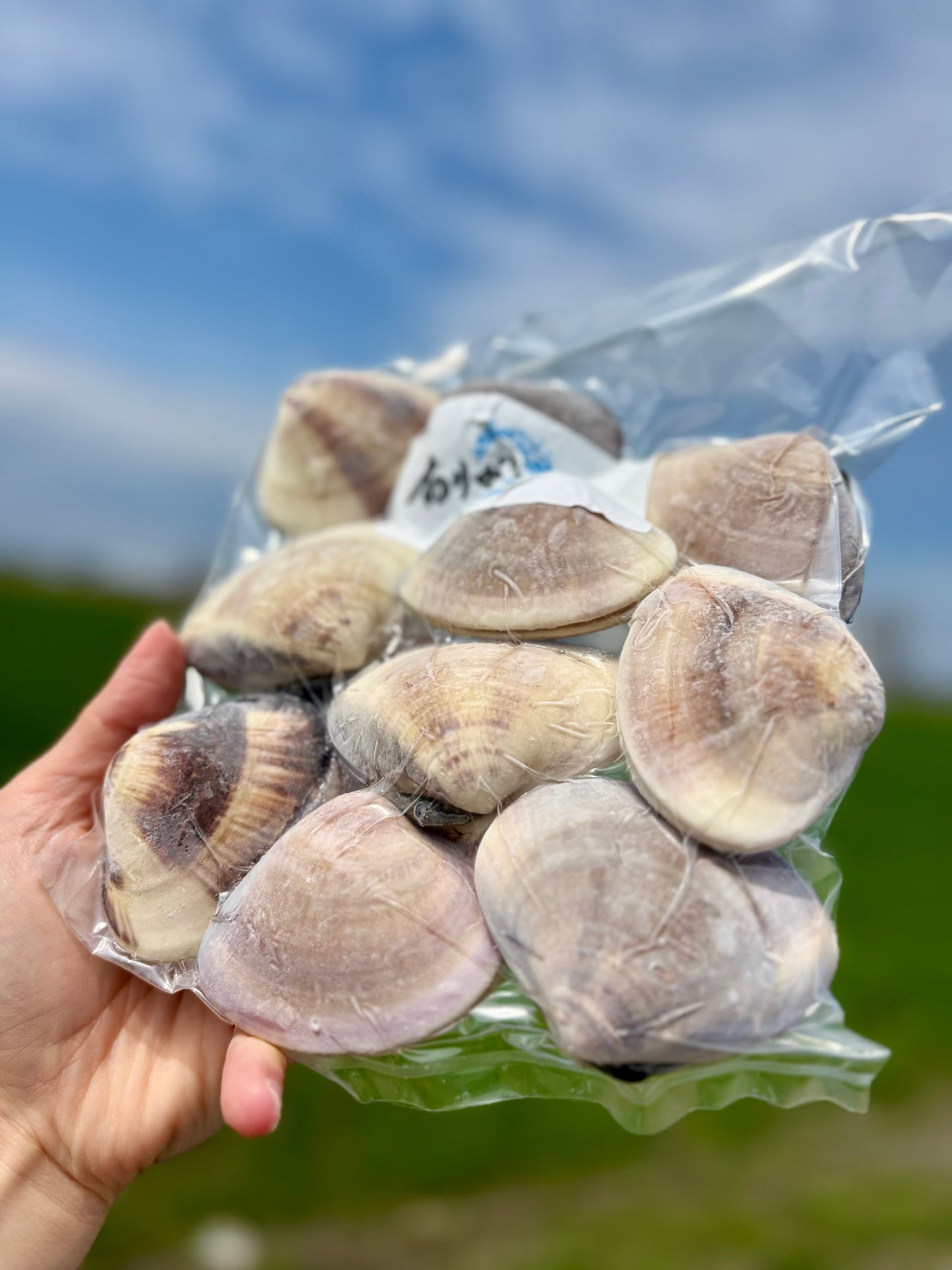 【旨味たっぷり】北海道ハマグリ｜500g