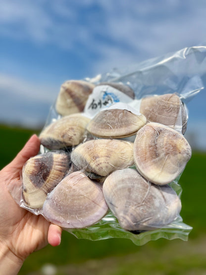 【旨味たっぷり】北海道ハマグリ｜500g