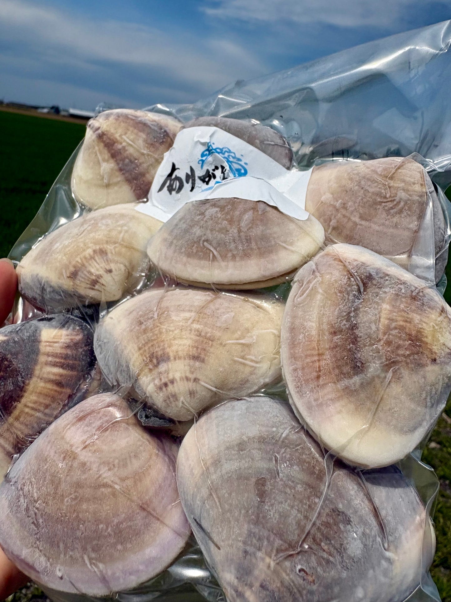 【旨味たっぷり】北海道ハマグリ｜500g