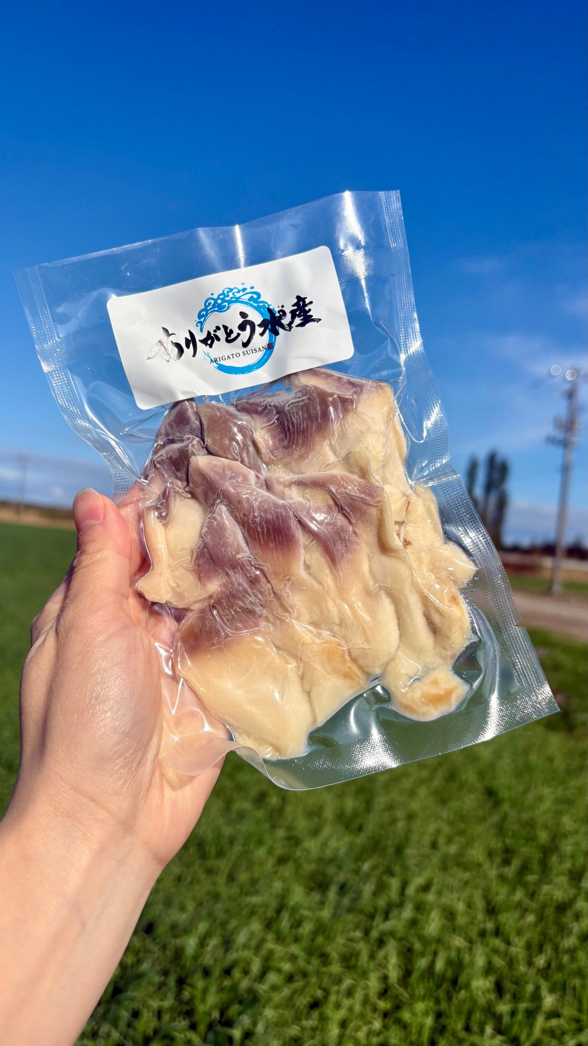Hokkaido Surf Clam Sashimi | 1 Shell