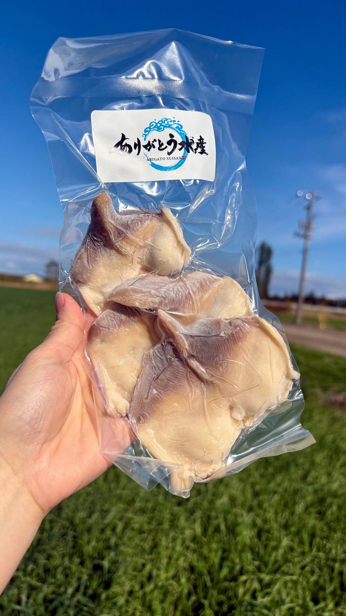 Hokkaido Surf Clam Sashimi | 1 Shell