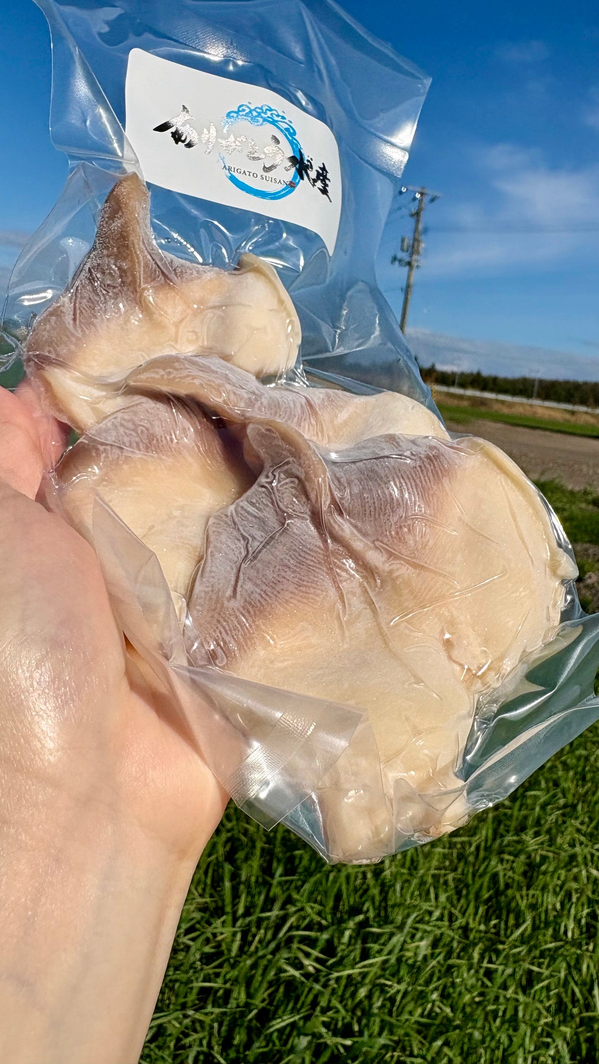 Hokkaido Surf Clam Sashimi | 1 Shell