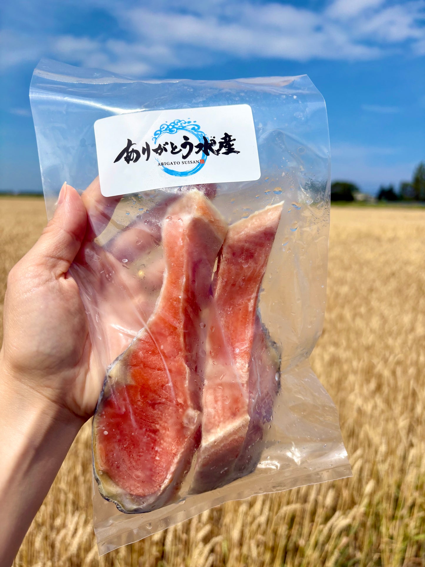 北海道カラフトマス 切り身2切れ 約150g｜焼くだけ簡単