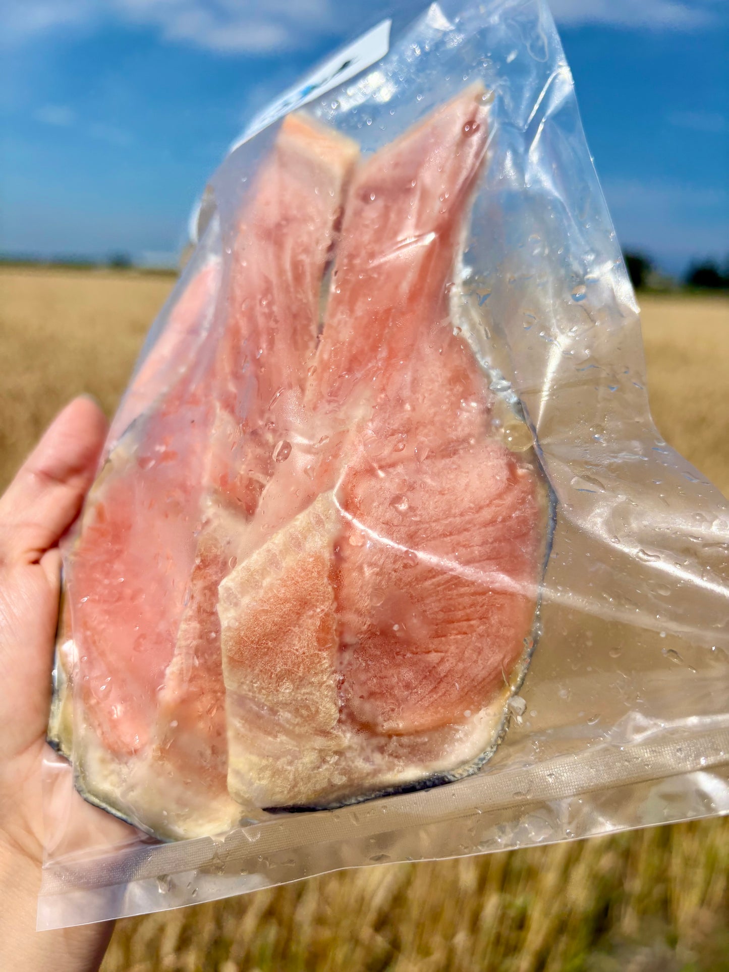 北海道カラフトマス 切り身2切れ 約150g｜焼くだけ簡単