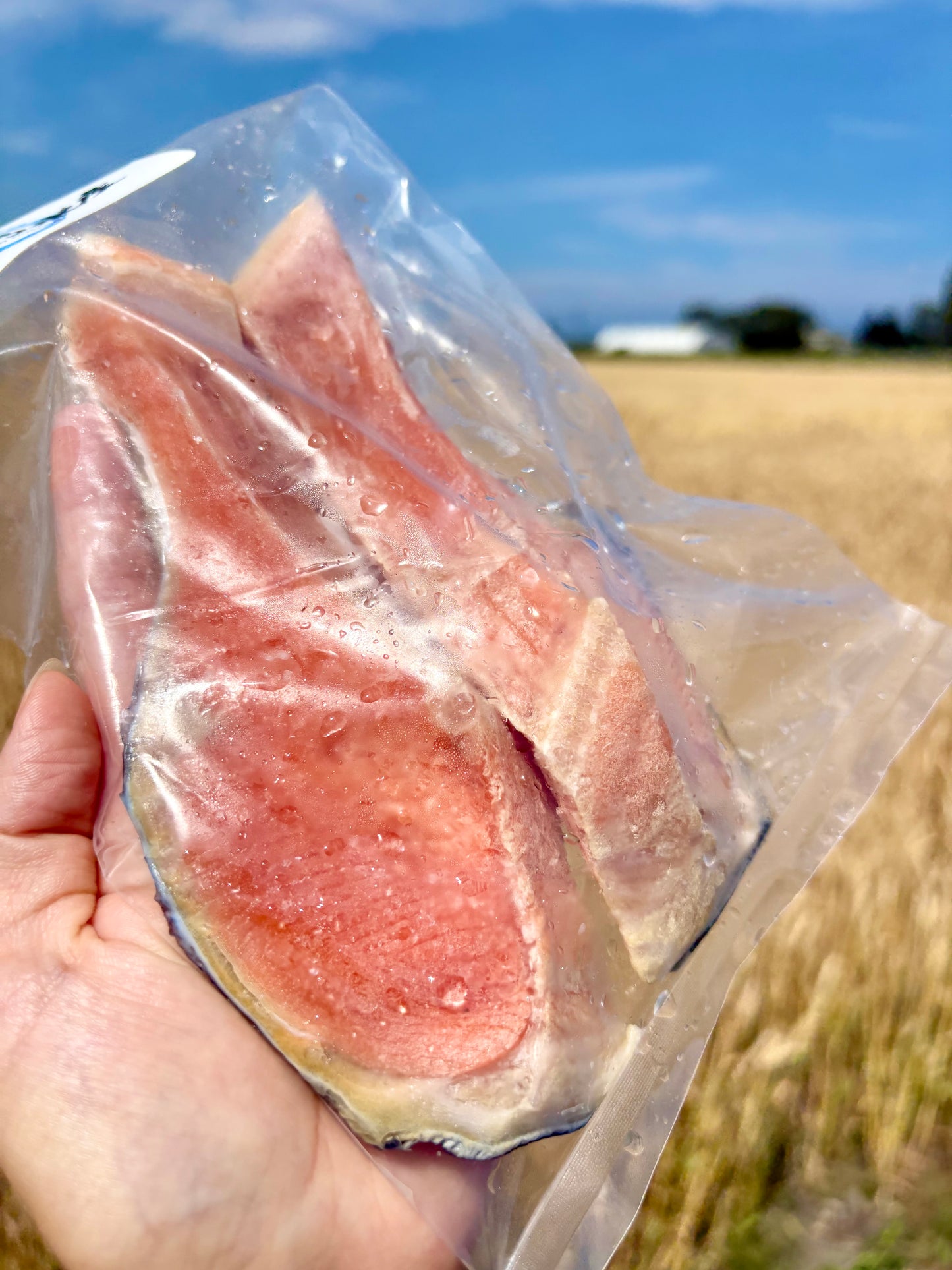 北海道カラフトマス 切り身2切れ 約150g｜焼くだけ簡単