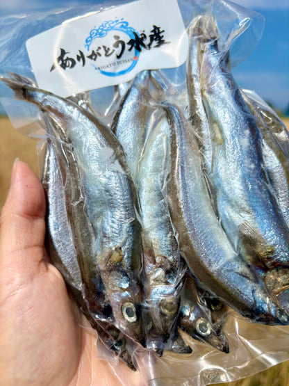 子持ちししゃも 15尾・約200g｜焼くだけ簡単