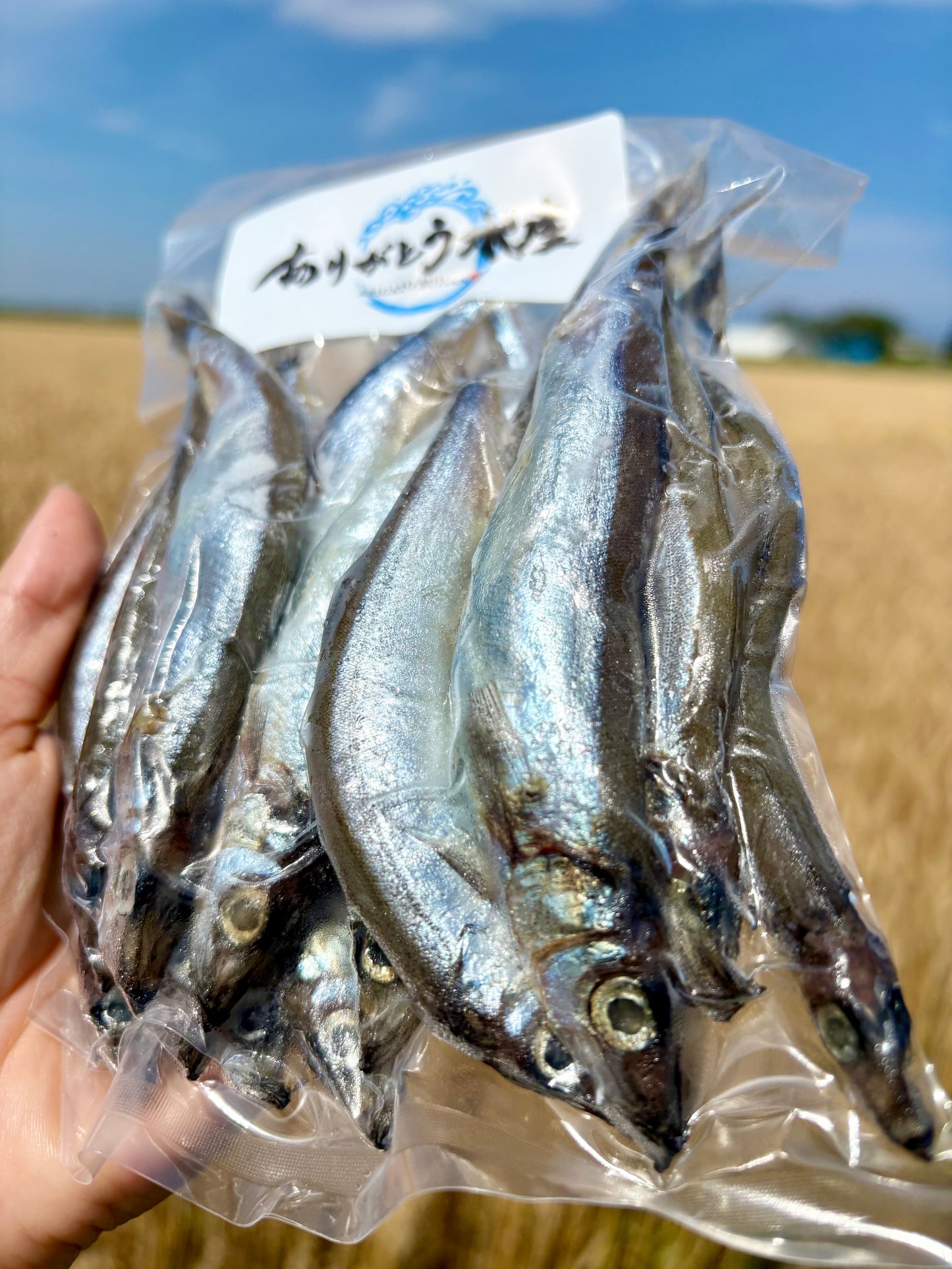 子持ちししゃも 15尾・約200g｜焼くだけ簡単