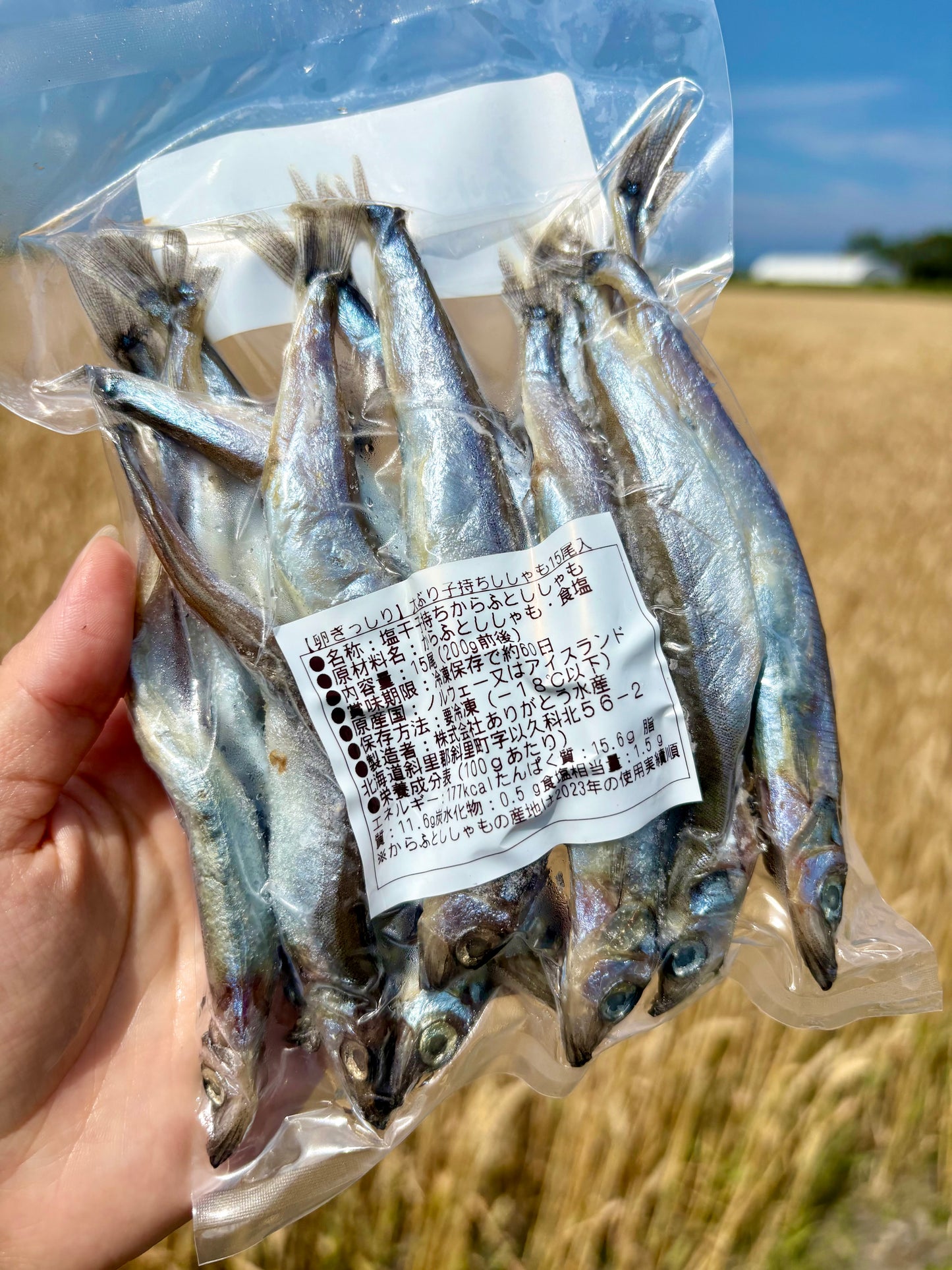 子持ちししゃも 15尾・約200g｜焼くだけ簡単