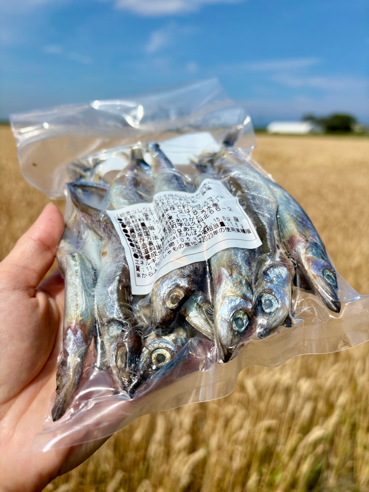 子持ちししゃも 15尾・約200g｜焼くだけ簡単