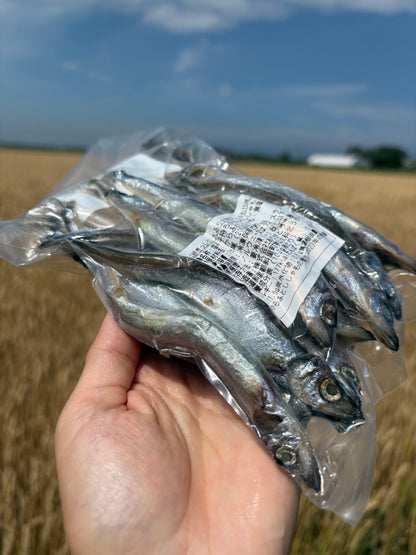 子持ちししゃも 15尾・約200g｜焼くだけ簡単