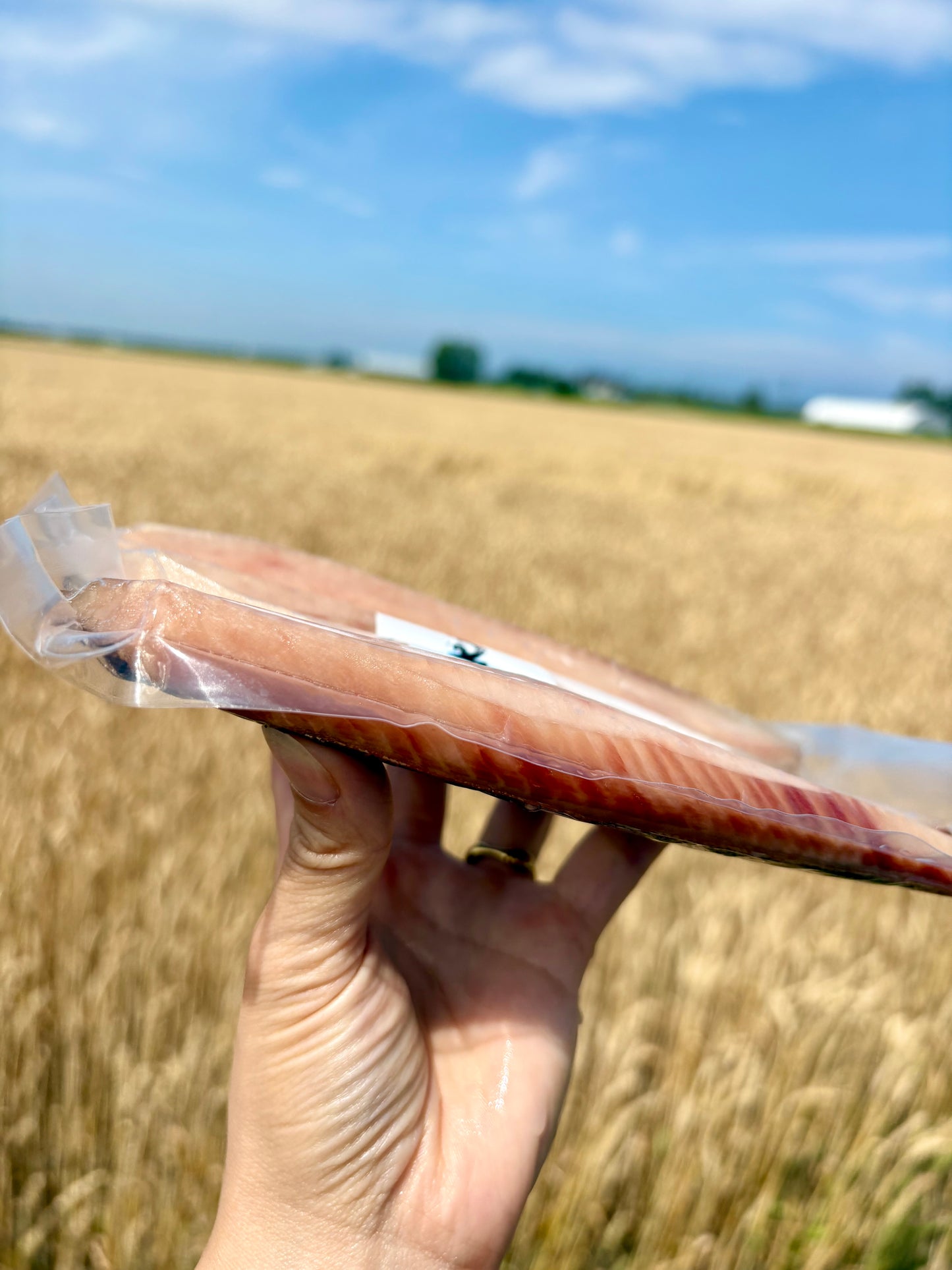 [Trending on Social Media] Whole Scallop | Adductor Muscle, Roe, and Mantle All Included