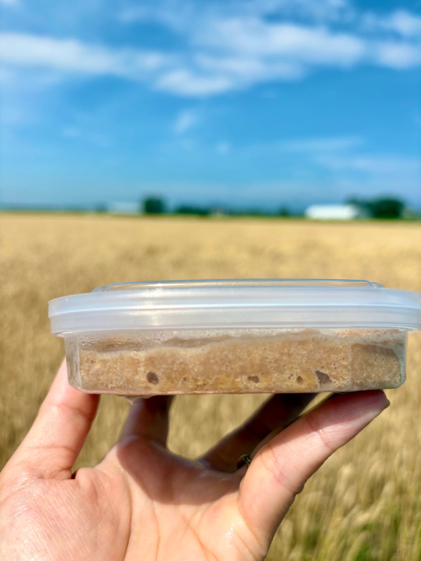 北海道産 山わさび昆布醤油漬け 250g｜ごはんのお供に