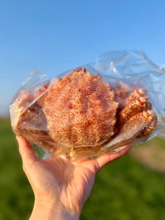 【北海道産】身入り自慢のボイル毛ガニ｜甘みたっぷり・300〜350g