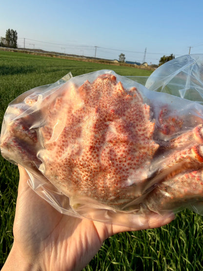 【北海道産】身入り自慢のボイル毛ガニ｜甘みたっぷり・300〜350g