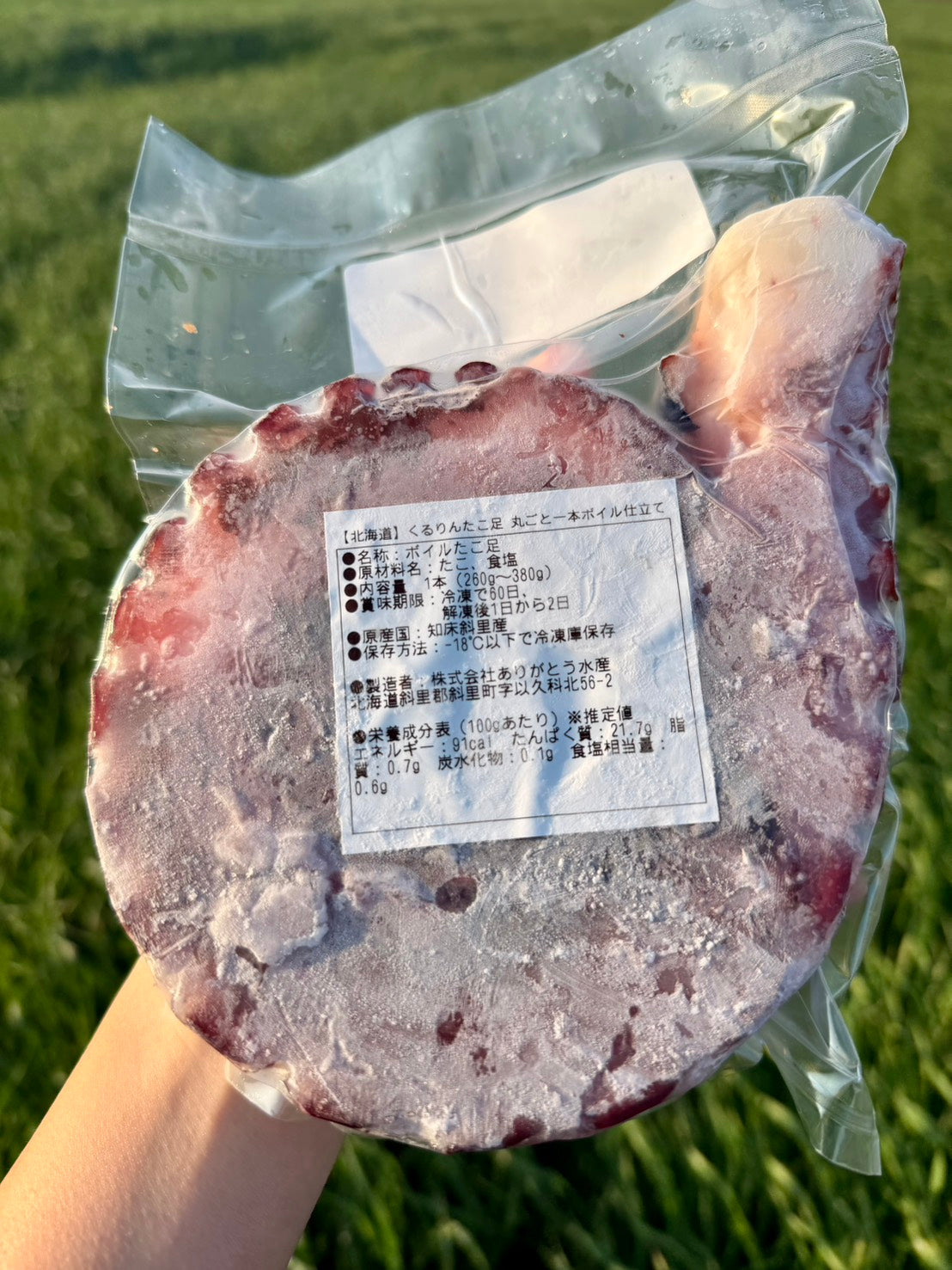 【北海道】くるりんたこ足 丸ごと一本ボイル仕立て
