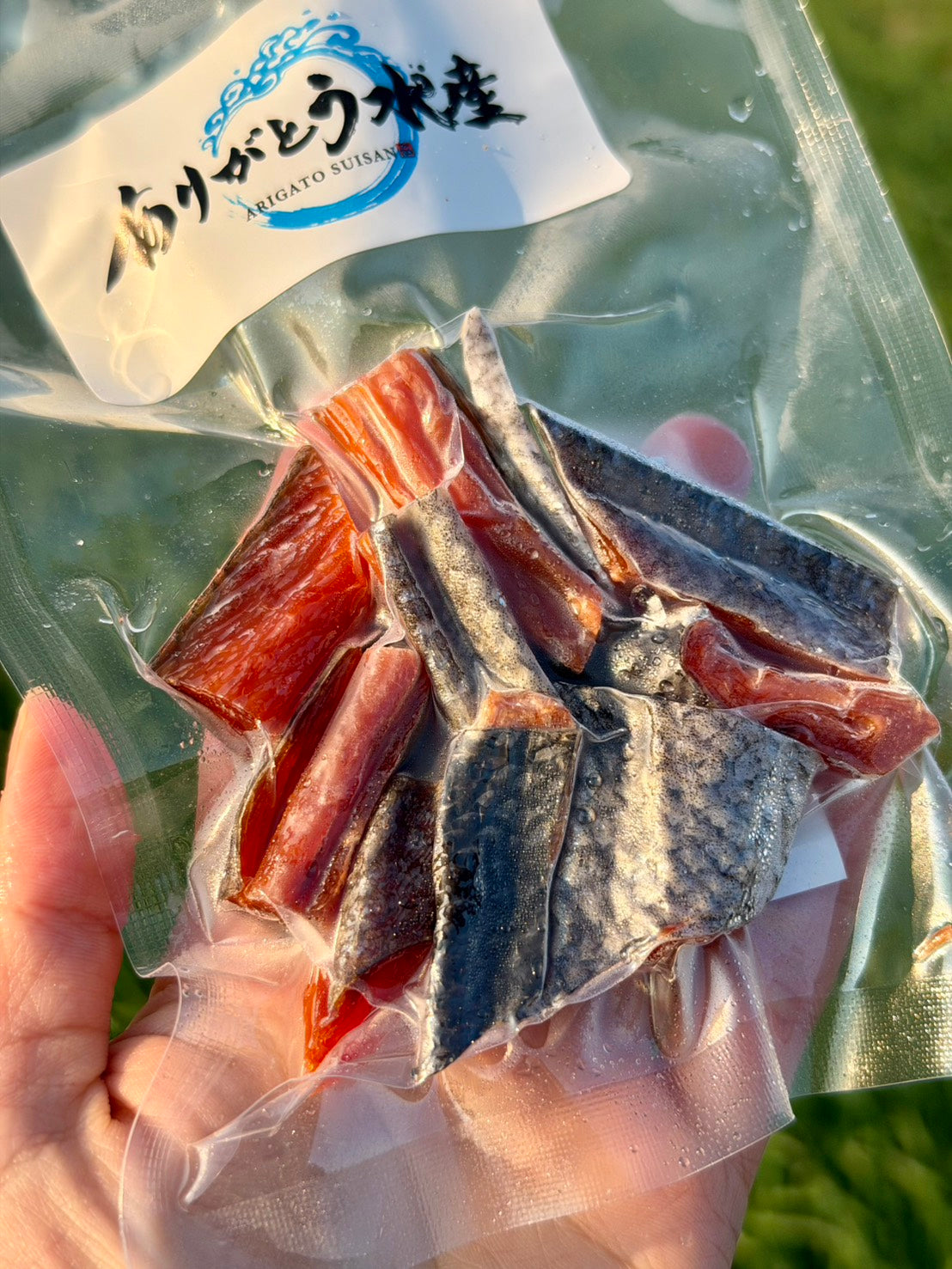 【北海道産】手造り鮭とば｜噛むほど広がる鮭の旨み【40g】