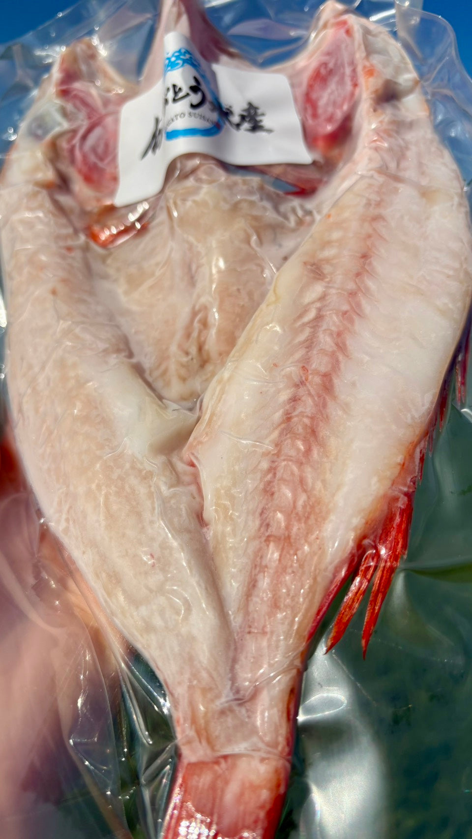 【北海道の高級魚】キンキ（メンメ）一夜干し｜元漁師が仕上げる極上の開き