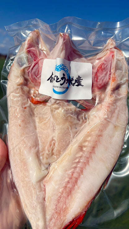 【北海道の高級魚】キンキ（メンメ）一夜干し｜元漁師が仕上げる極上の開き