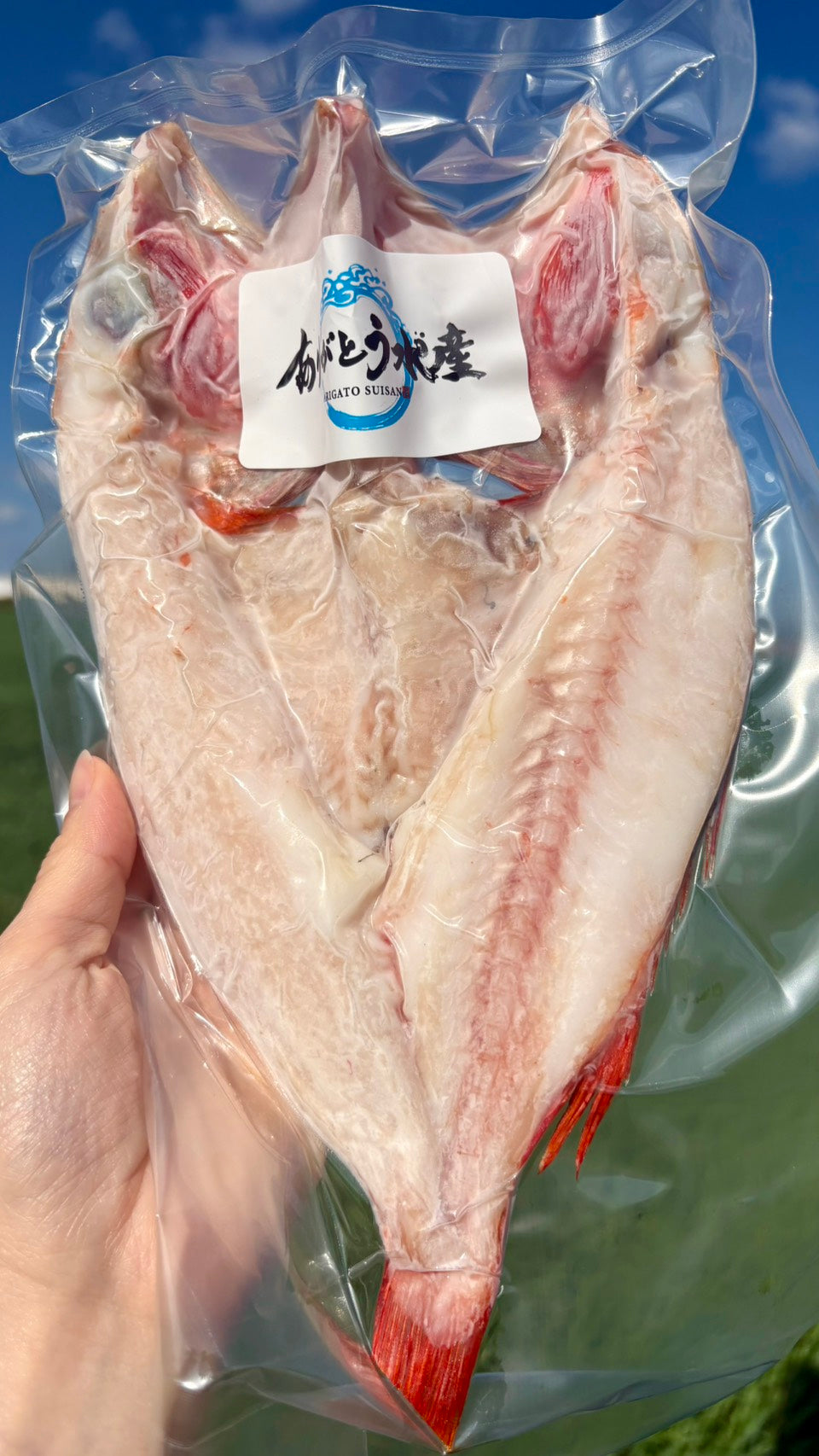 【北海道の高級魚】キンキ（メンメ）一夜干し｜元漁師が仕上げる極上の開き