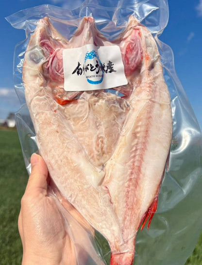 【北海道の高級魚】キンキ（メンメ）一夜干し｜元漁師が仕上げる極上の開き
