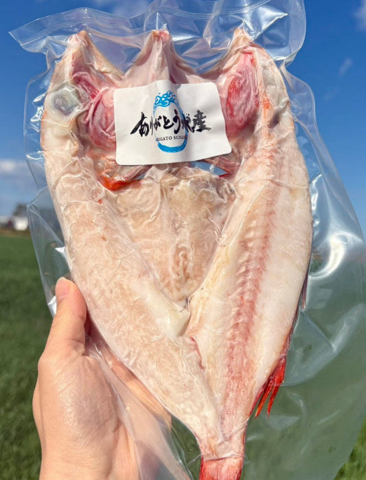 【北海道の高級魚】キンキ（メンメ）一夜干し｜元漁師が仕上げる極上の開き