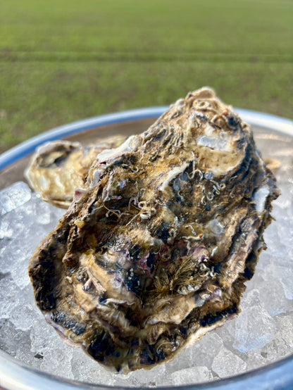 【業務用級】北海道産 冷凍殻付き牡蠣 5kg｜急速冷凍